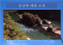 영월댐 건설이 강원도 발전을 위해 필요한 것인가 7페이지