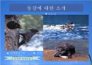 영월댐 건설이 강원도 발전을 위해 필요한 것인가 9페이지