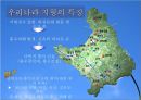 영월댐 건설이 강원도 발전을 위해 필요한 것인가 11페이지