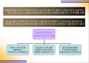 인터넷 뉴스 이용자의 정보처리 지속에 관한 연구  3페이지