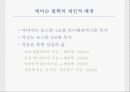 미국 문학의 르네상스.PPT자료 17페이지