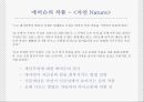 미국 문학의 르네상스.PPT자료 20페이지