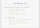 미국 문학의 르네상스.PPT자료 34페이지