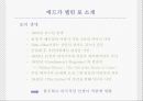 미국 문학의 르네상스.PPT자료 53페이지