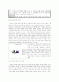 명품 글로벌 기업의 현황과 전망 (LVMH, PPR, 헤르메스) 7페이지