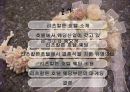 [호텔경영의 이해]리츠칼튼 웨딩산업 2페이지