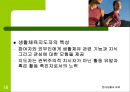 생활체육의활성화 16페이지