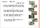 IMC (Integrated Marketing Communication).ppt 7페이지
