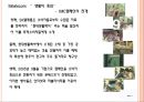 IMC (Integrated Marketing Communication).ppt 10페이지