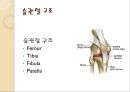 [의학] 인공 슬관절 전치환술 -TKR : Total knee replacement PPT자료 4페이지