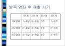 [재할의학] 족부 및 발목 손상 4페이지