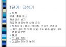 [재할의학] 족부 및 발목 손상 5페이지