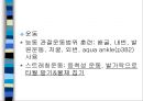 [재할의학] 족부 및 발목 손상 8페이지