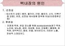 [의학간호학기초] 시각장애  - 녹내장 16페이지
