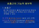 [재활] 호흡기계 질환의 재활 2페이지