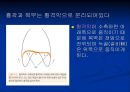 [재활] 호흡기계 질환의 재활 4페이지