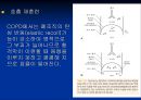 [재활] 호흡기계 질환의 재활 19페이지