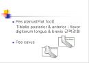[질환별 물리치료] 관절기형 (Disorder of bone and joint).ppt 20페이지