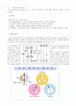 [질환별 물리치료] 만성폐쇄성 폐질환(COPD)에 관해 5페이지