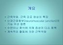 [질환별 물리치료] 중증근무력증 (Myasthenia Gravis).ppt 2페이지