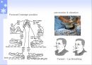 [질환별 물리치료] PMD[Progressive Muscular Dystrophy] 23페이지