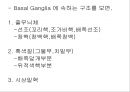 [해부생리] 기저핵[Basal Ganglia]에 대해 6페이지