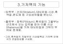 [해부생리] 기저핵[Basal Ganglia]에 대해 7페이지