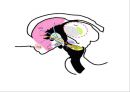 [해부생리] 기저핵[Basal Ganglia]에 대해 11페이지