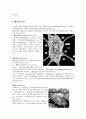 [해부생리학] 뼈의 구조와 현미경, 뼈조직[osseous tissue, bone] 4페이지