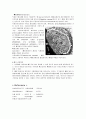 [해부생리학] 뼈의 구조와 현미경, 뼈조직[osseous tissue, bone] 5페이지