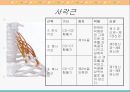 [해부생리] 척추를 움직이는 근육들 11페이지