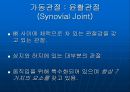 [해부생리학] 윤활관절의 역학적 구조 2페이지