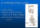 [해부생리학] 윤활관절의 역학적 구조 8페이지