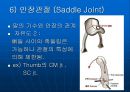 [해부생리학] 윤활관절의 역학적 구조 12페이지