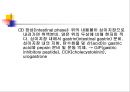 [해부생리] 소화생리 14페이지