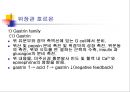 [해부생리] 소화생리 19페이지