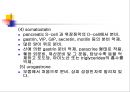 [해부생리] 소화생리 24페이지