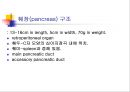 [해부생리] 소화생리 26페이지