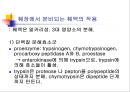 [해부생리] 소화생리 27페이지