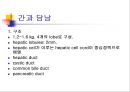 [해부생리] 소화생리 29페이지