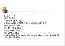 [해부생리] 소화생리 30페이지