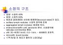 [해부생리] 소화생리 33페이지