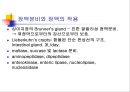 [해부생리] 소화생리 38페이지