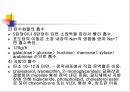 [해부생리] 소화생리 41페이지