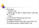 [해부생리] 세포 생리 3페이지