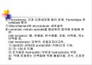 [해부생리] 세포 생리 7페이지