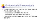 [해부생리] 세포 생리 25페이지