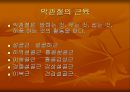 [해부생리] Temporomandibular joint TMJ [악관절] 7페이지