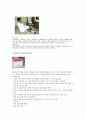 [물리치료] 물리치료 기구들에 관해 8페이지