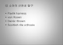 [물리치료] 절단 및 재활 20페이지